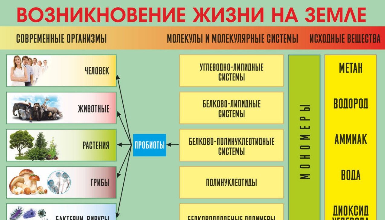 Таблица Возникновение жизни на земле 100х140 винил